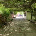 Elemento de la galería